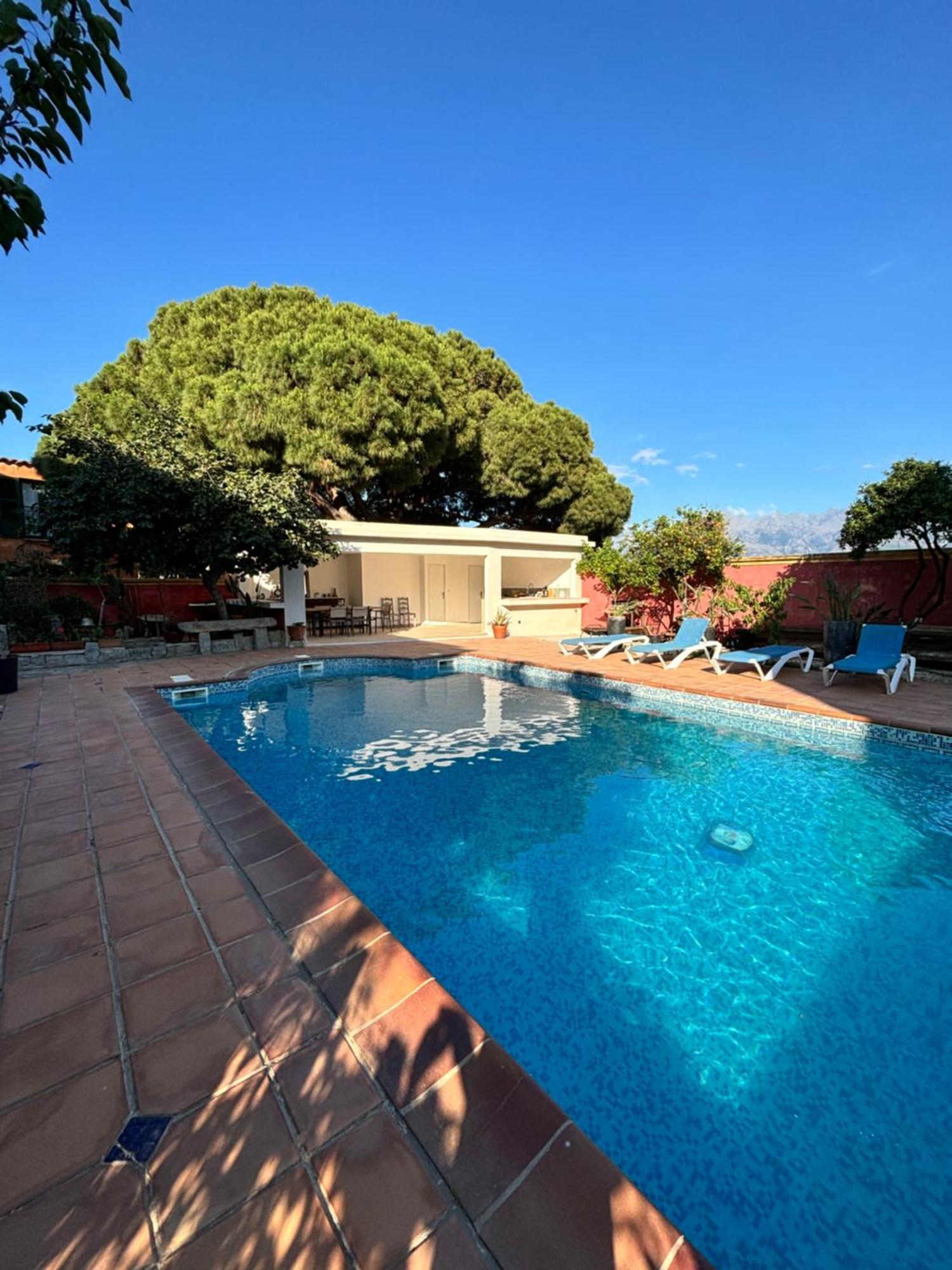 Antonia Avec Piscine Commune - Centre Calvi * Calvi (Corsica)