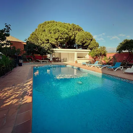 Residence Antonia Appartements Avec Piscine Commune - Centre Ville Calvi Calvi  Buitenkant foto