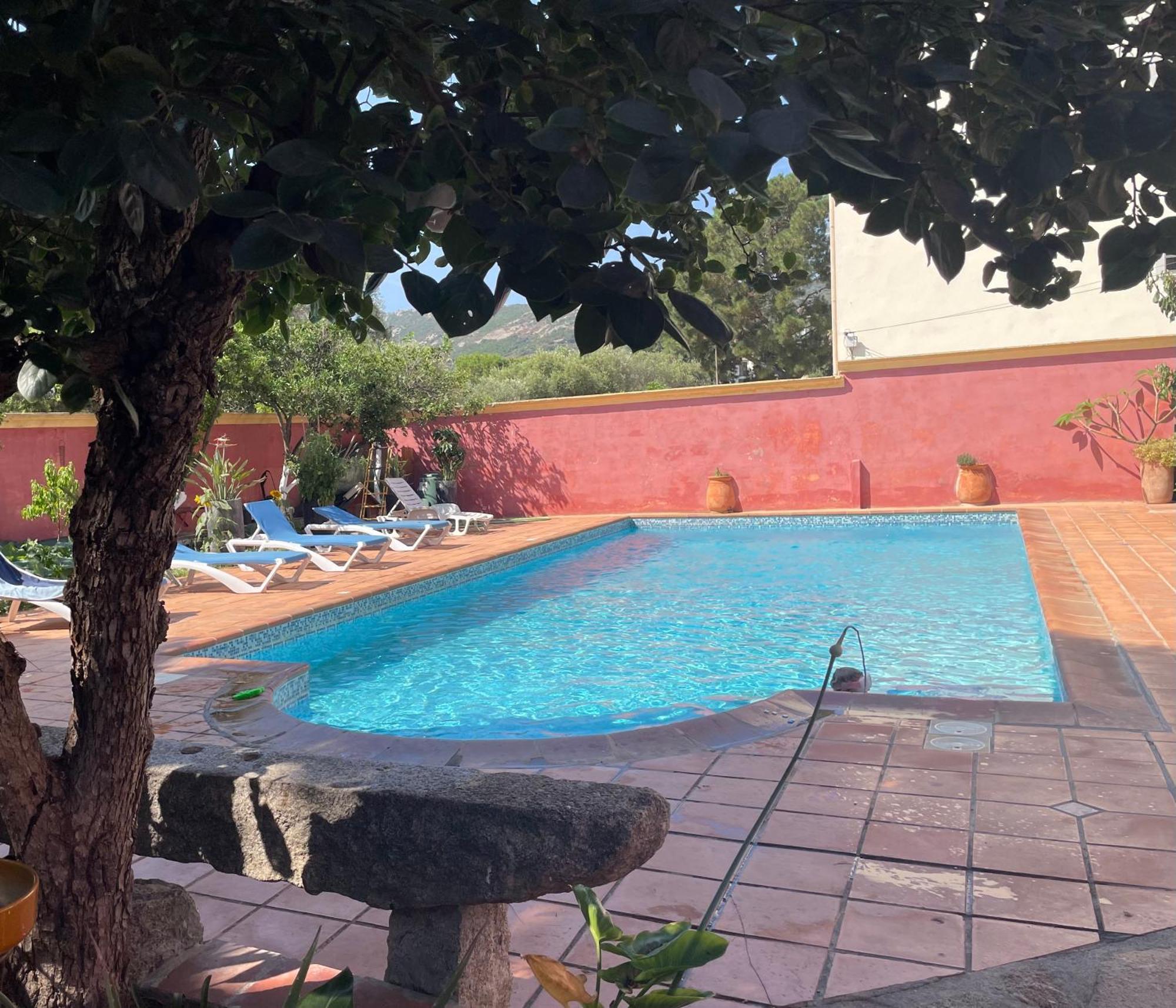Antonia Avec Piscine Commune - Centre Calvi Appartement *